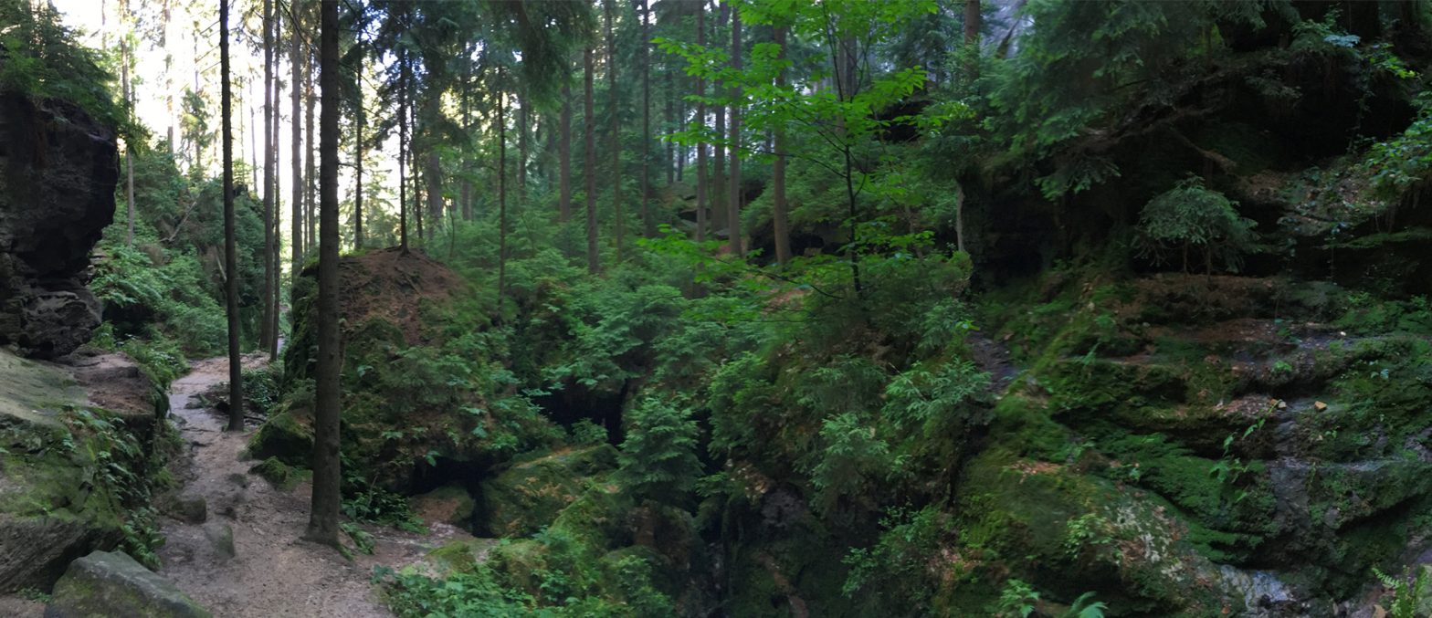 Malerweg – Wandern in der Sächsischen Schweiz