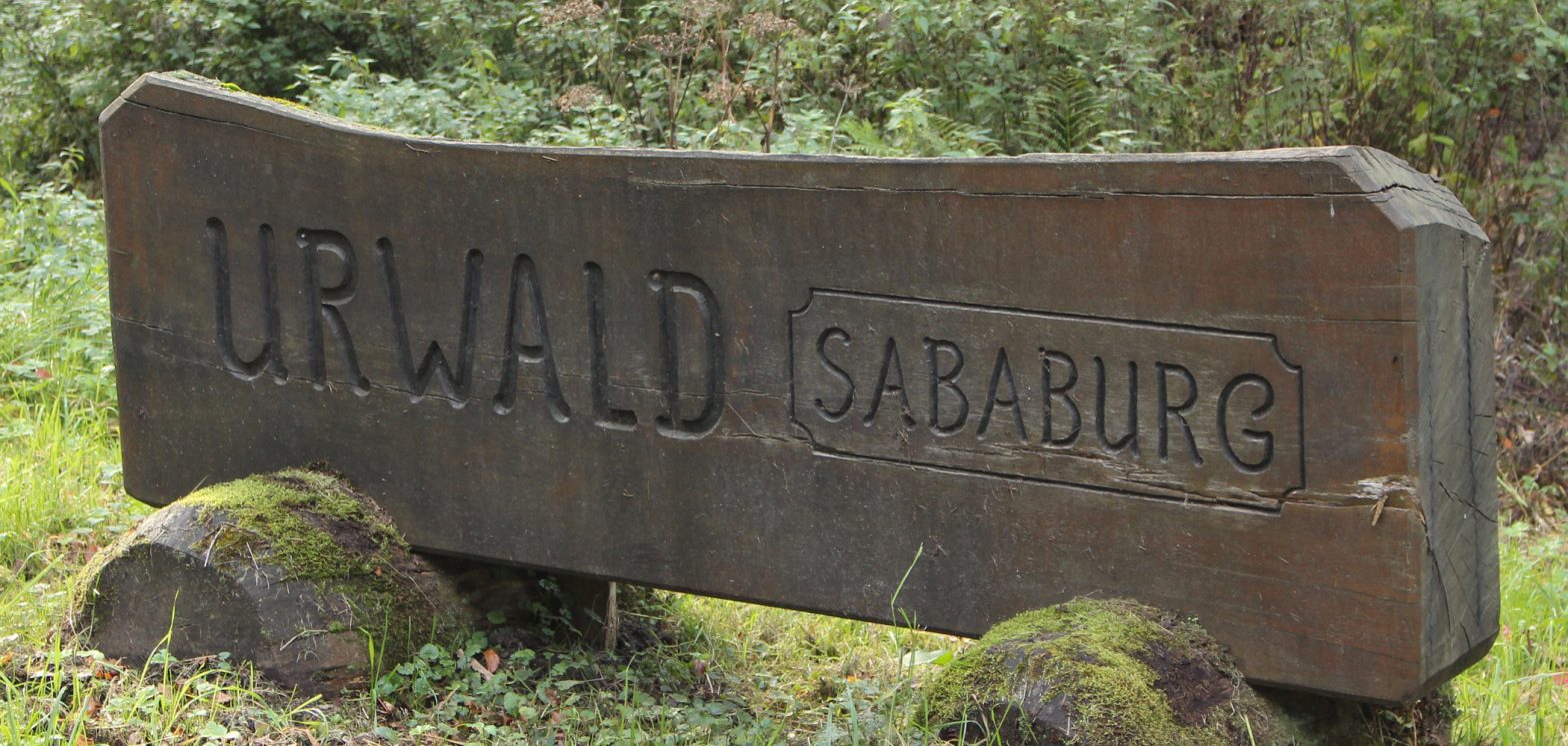 Urwald Sababurg